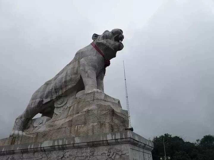 91直播